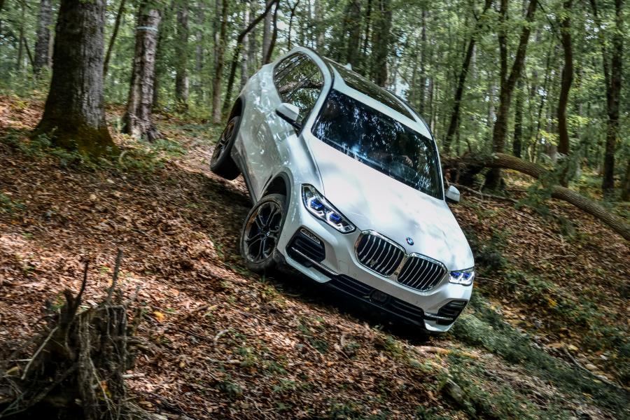  BMW X5 xDrive30d (G05) 2018 года  (WW) (фото 62 из 146)